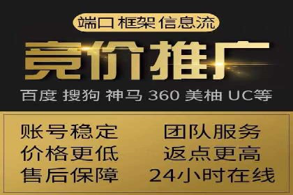 推广竞价策略优化：借鉴经典案例提升效果